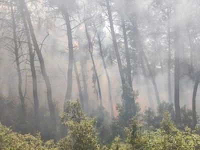 Son dakika! Karatepe Milli Parkı'nda Orman Yangını Çıktı