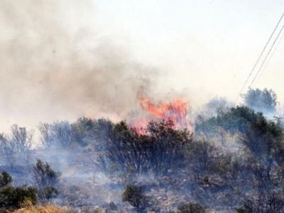 Son Dakika: Kocaeli'de Çıkan Orman Yangınında 20 Dönüm Alan Zarara Uğradı