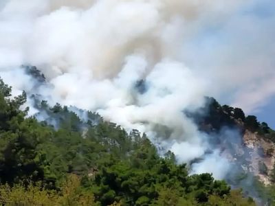 Son Dakika: Muğla, Antalya ve İzmir’de Orman Yangınları!
