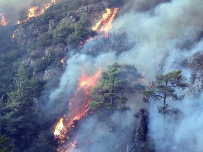 Son Dakika: Muğla’da Orman Yangını