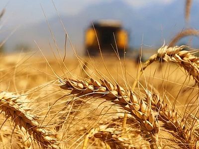 Son Dakika: Tarım Ürünlerinde Gümrük Vergisi Sıfıra Çekildi!
