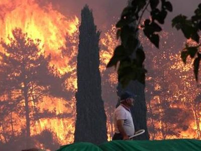 Son Dakika: Tarım ve Orman Bakanı Açıkladı! 7 İlde 36 Noktada Yangın Çıktı