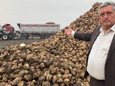 Ziraat Odaları Başkanı Açıkladı, Türkiye'de Üretim Sorunu Yok!