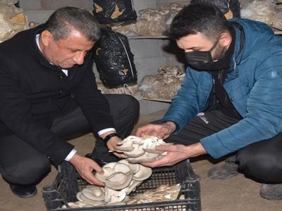 Sosyal medya ilham kaynağı oldu: Girişimci Macit Han, evini üretim tesisi haline getirdi!
