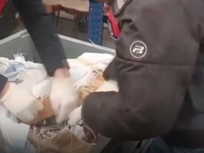 Sosyal Medya Üzerinden Uyuşturucu Satanlara Operasyon: 99 Tutuklama