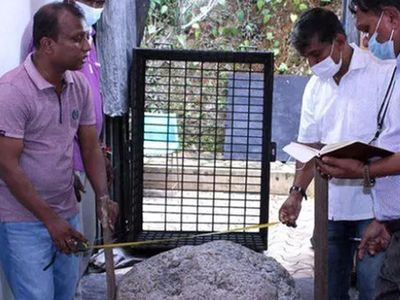 Sri Lankalı İşçiler Bahçede 100 Milyon Dolarlık Safir Buldu