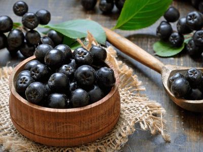 Süper Meyve Aronya Nedir, Faydaları Nelerdir?