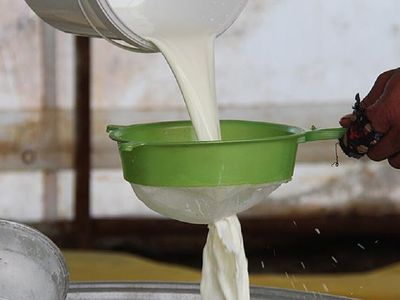 Süt fiyatları: A101, ŞOK, MİGROS, CarrefourSa 2022 süt fiyat listesi