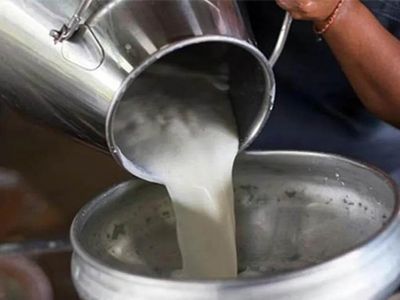 Süt üreticilerine müjde: 1 Ekim’de başlıyor