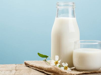 Sütün Yararları Nelerdir?