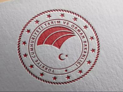 Tarım Bakanlığı işçi alımı başvurusu nasıl yapılır? Tarım ve Orman Bakanlığı 1500 personel alımı sonuçları ne zaman açıklanacak?