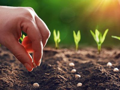 Tarım Ekonomisi DGS 2022 taban puanları ve bölüm kontenjanları