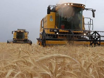 Tarım Kredi Kooperatifi kredi yapılandırma işlemi nasıl yapılır? Tarım Kredi Kooperatifi faiz affı 2022 borç yapılandırma ve taksitlendirme işlemleri