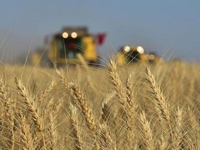 Tarım ve Orman Bakanı Bekir Pakdemirli: Yetiştiriciler Yüksek Yem Maliyetleri Altında Ezilmeyecek