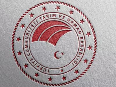 Tarım ve Orman Bakanı: Kurbanlık Sayısı Yüzde 33 Arttı
