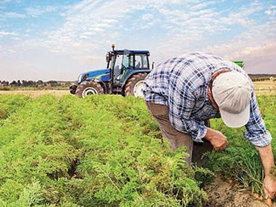 Bakan Pakdemirli Açıkladı: Çiftçiye ve Besiciye Büyük Destek