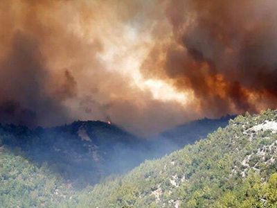 Tarım ve Orman Bakanı: Tüm Yangınlarda İyiye Doğru Bir Gidiş Var