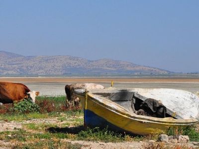 Tarım ve Orman Bakanlığı çalışmalara başladı: Kuş Cenneti eski günlerine dönüyor