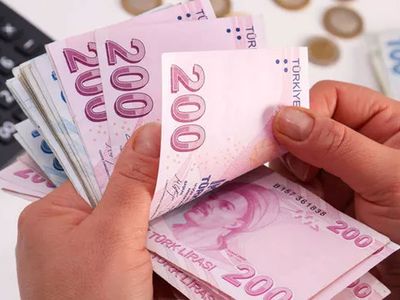 Tarım ve Orman Bakanlığı Katılım Desteği Nasıl Alınır?