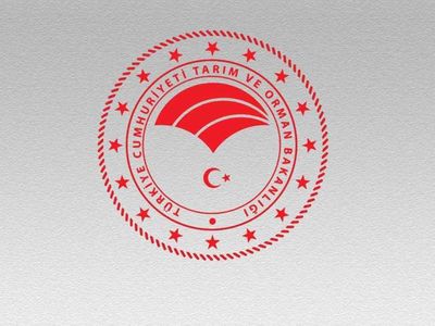 Tarım ve Orman Bakanlığı sadece KPSS şartlı personel alımı yapacak! Başvuru şartlarını karşılayan 8 bin TL maaş alacak