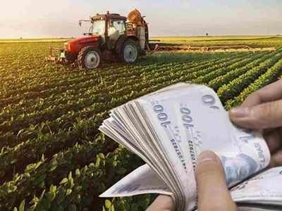 Tarım ve Orman Bakanlığı'ndan çiftçilere destek! Karşılıksız olarak 5000 TL destek sağlanacak