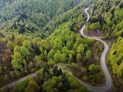 Tarım ve Orman Bakanlığı'ndan Orman Yangınlarına Karşı Kritik Uyarı
