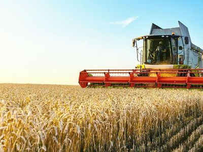 Tarımda rekor kırıldı! Cumhuriyet tarihinin en yüksek ihracat rakamı