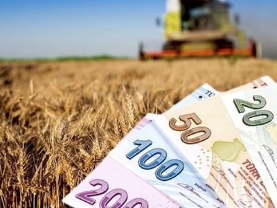 Tarımsal destek ödemeleri başladı mı? Ne zaman başlıyor? Tarımsal destek ödemeleri nereden alınır? Tarımsal destek ödemelerinden kimler faydalanır?