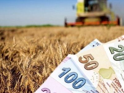Tarımsal destek ödemeleri bugün itibariyle başlıyor