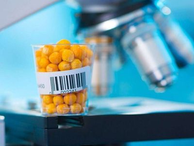 Tarımsal Genetik Mühendisliği DGS 2022 taban puanları ve bölüm kontenjanları