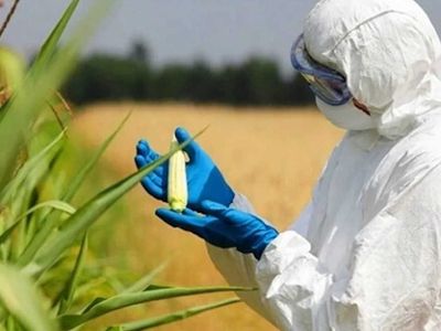 Tarla Bitkileri DGS 2022 taban puanları ve bölüm kontenjanları