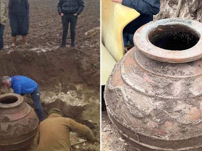 Tarla sürerken bulundu: Hemen koruma altına alındı