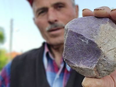 Tarlasında çıkan taşların çalındıktan sonra servet değerinde olduğunu fark etti! Artık çok geç