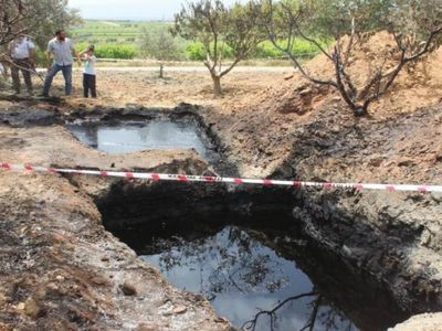 Tarlasından servet akıyor: 50 milyon dolar teklif ettiler