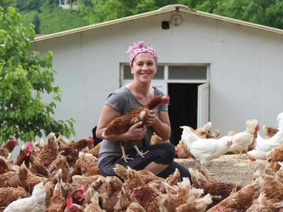 Tavuk çiftliği kredisi başvuru şartları nelerdir? Tavuk çiftliği kredi başvurusu için hangi belgeler gereklidir? Ziraat Bankası tavuk çiftliği kredi şartları