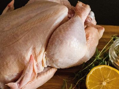 Tavuk etine alerjisi olanları ilgilendiriyor! Tavuk alerjisi belirtileri ve tedavileri