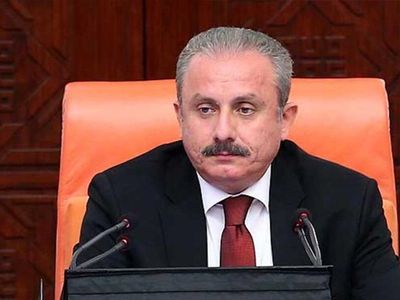 TBMM Başkanı Şentop : Diplomasinin En Önemli Ayağıdır