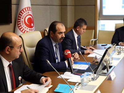 TBMM Çevre Komisyonu, Deniz Salyası Sorunu İçin Toplandı
