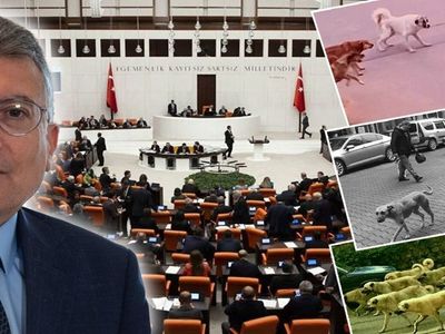 TBMM Tarım, Orman ve Köyişleri Komisyonu'nda Sahipsiz Sokak Hayvanları Kanun Teklifi Görüşmesi: Gergin Anlar Yaşandı