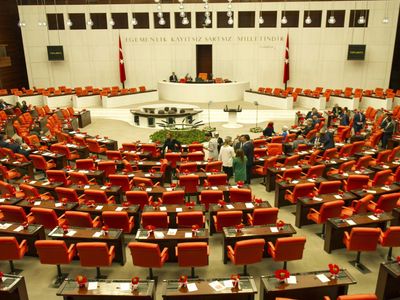 TBMM yeni haftaya başlıyor: Öğretmenlik Kanunu ve başıboş hayvan tasarısı görüşülecek