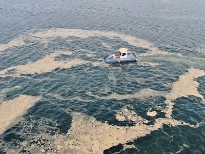 Tehlike Artıyor! Deniz Salyası Rotasını Ege Denizi'ne Çevirdi