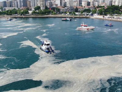 Tehlike Çanları Çalıyor! Meteoroloji Uzmanları Hava Sıcaklığının Müsilajı Arttıracağını Söylüyor