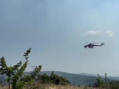 Tekirdağ’da anız yangını ormana sıçradı
