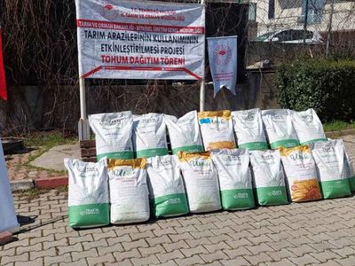 Tekirdağ'da ayçiçeği ithalatına karşı yerli tohum: Tarım ve Orman Bakanlığı üreticiye 2 buçuk ton hibrit tohum dağıttı!