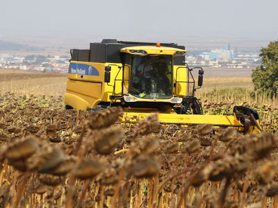Tekirdağ'da Yerli Ayçiçeği Tohumu Projesi’nde Yetiştirilen Ürünlerin Hasadı Yapıldı