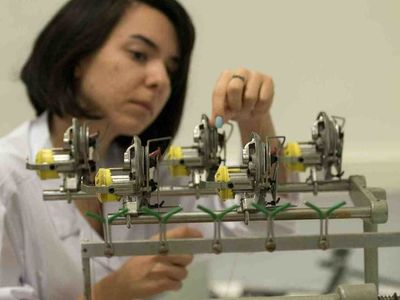 Tekstil Mühendisliği DGS 2022 taban puanları ve bölüm kontenjanları