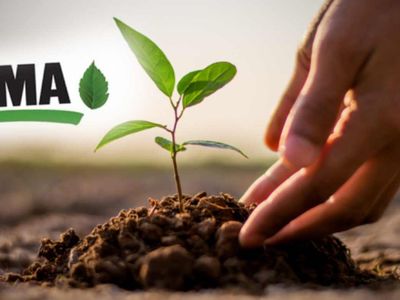Tema Vakfı nedir? Tema vakfı ne işe yarar? Tema Vakfı'nın görevleri ve sorumluluklar