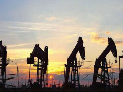Terörden arındırılan bölgeden petrol fışkırdı