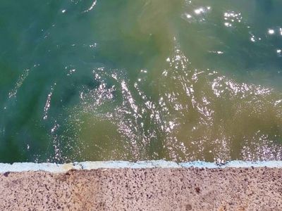 TESKİ açıkladı: Marmara Denizi'ndeki pislik oranı olması gerekenden 65 kat daha fazla!
