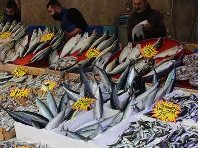 Tezgahlar Bereketlendi Balık Fiyatları Düştü